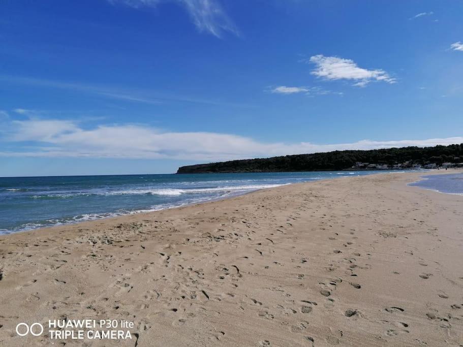 Le Grappillon Villa Fitou Bagian luar foto