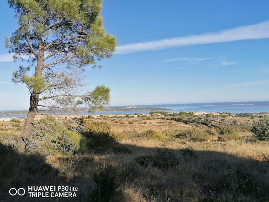 Le Grappillon Villa Fitou Bagian luar foto